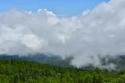 DSC_3613 (Large).JPG